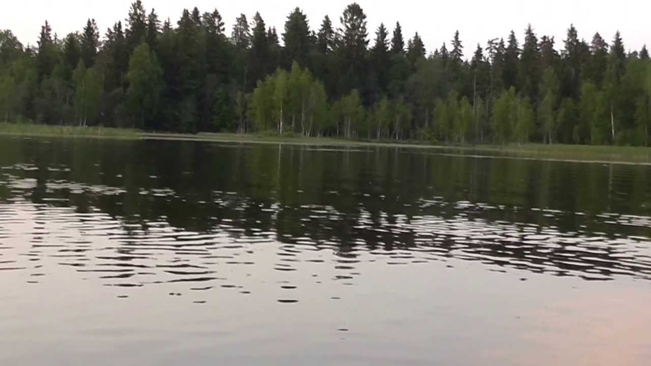 Бабинское озеро Бабинское озеро